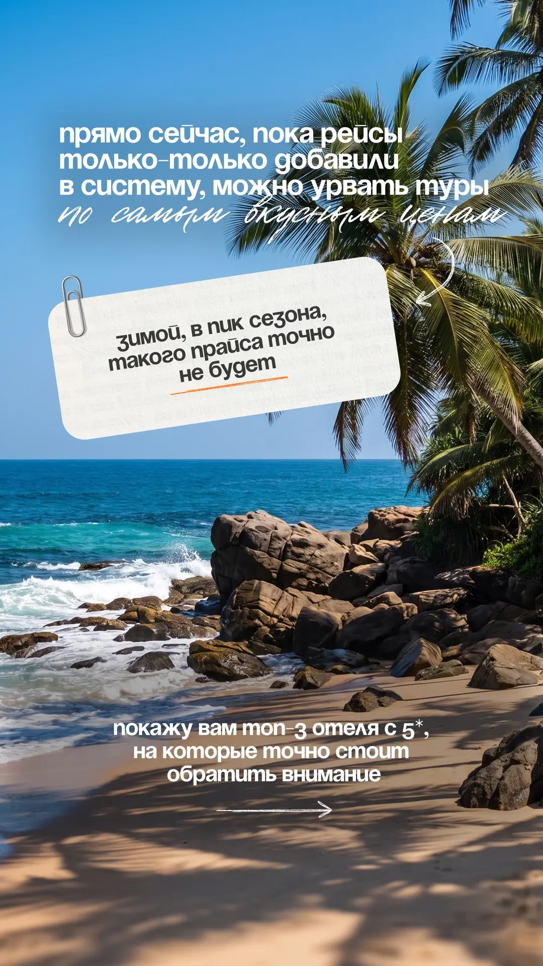 Зимняя Шри-Ланка — это всегда высокий спрос 🇱🇰