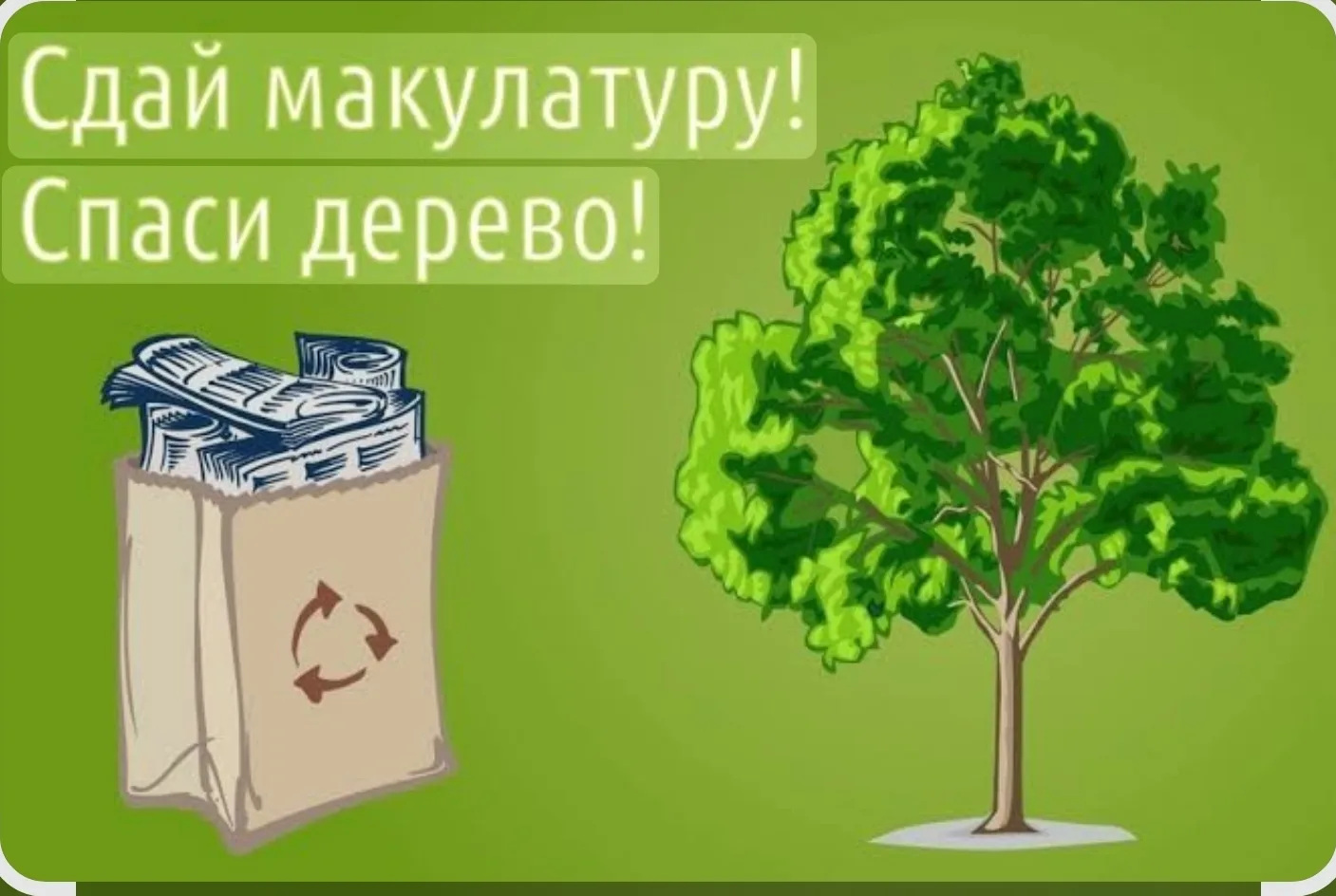 Участие в БумБатл и 6 спасенных деревьев

⚡️Наша школа активно участвует в акции "БумБатл". Сегодня,