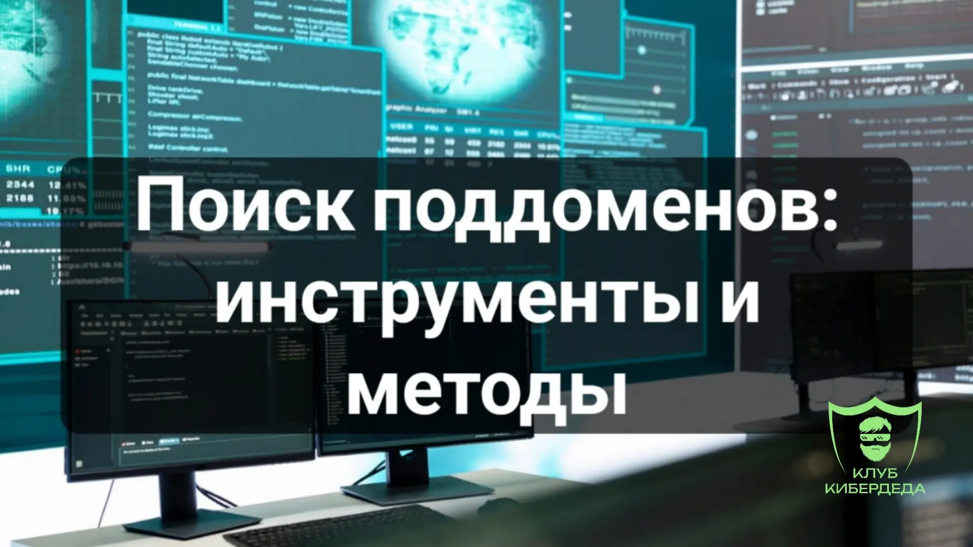 🌏 Поддомены — это «входные двери» в инфраструктуру организации.