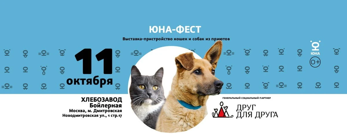 Юна-Фест. Выставка-пристройство животных из приюта, 0+