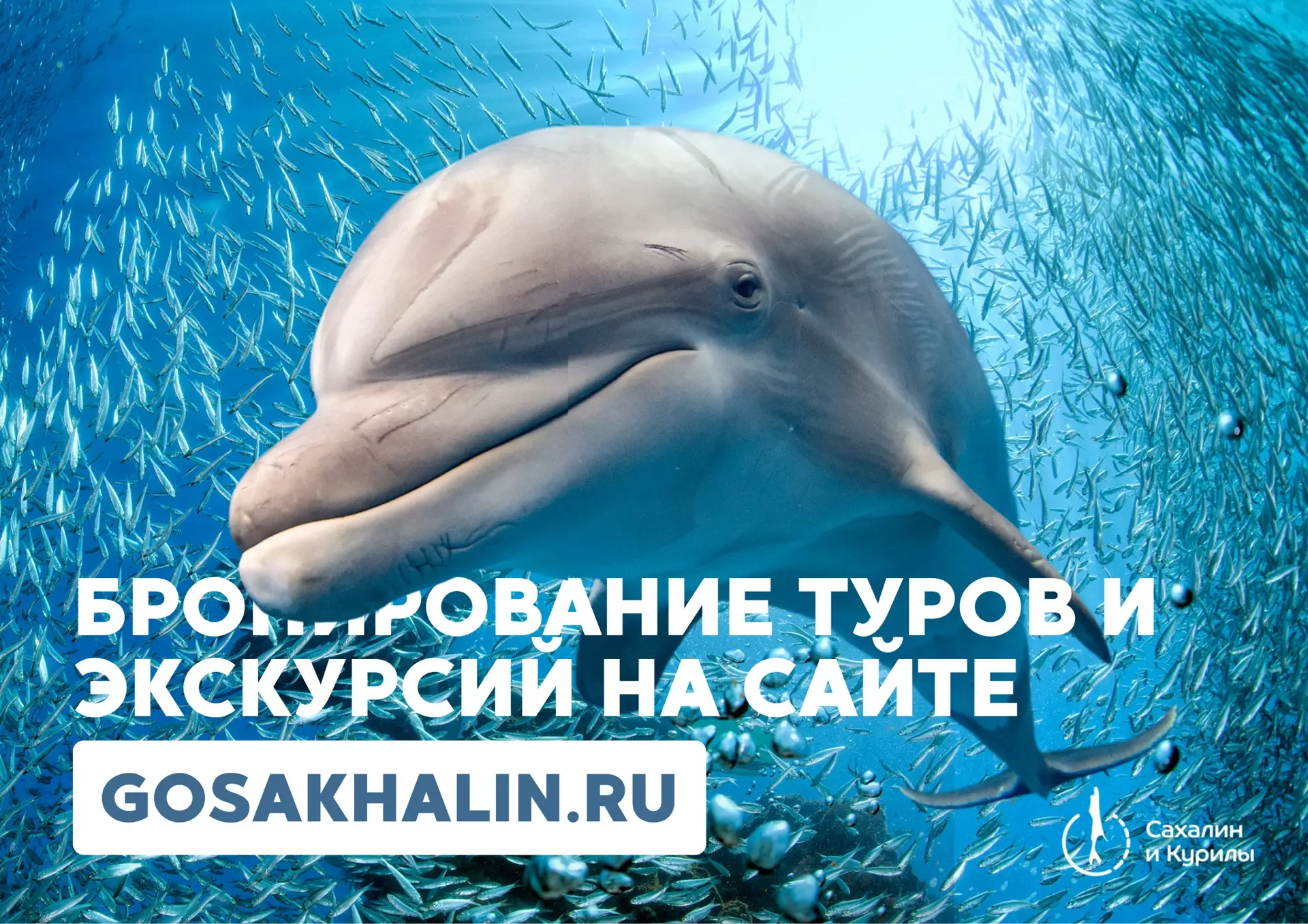 ✈️Путешествие на Сахалин и Курилы: ваш идеальный отдых уже ждет вас! 

Вы мечтаете о незабываемом пр