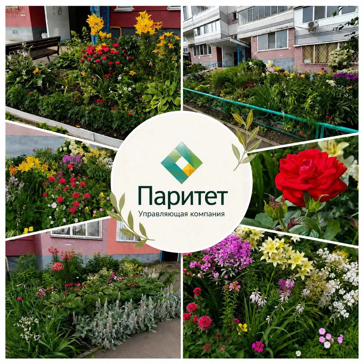 🏡 Клумба у дома 44/01 — теперь это место притяжения! ✨

Яркие краски, красота и уют — всё это благо