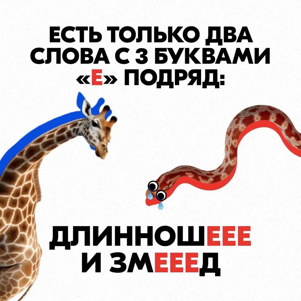 📖 «Методичка»