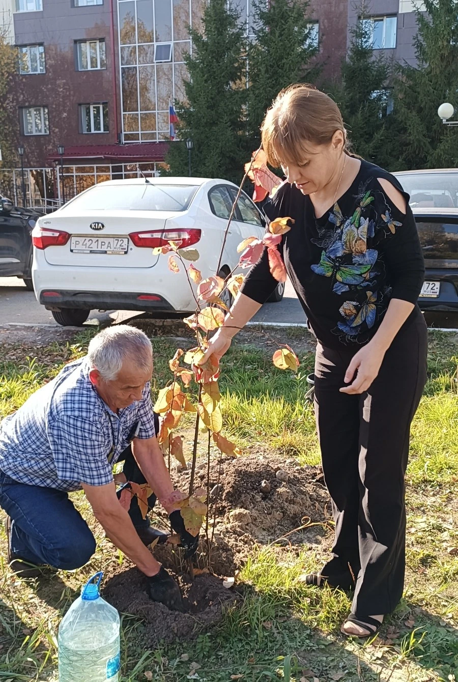 Зелёные перемены у суда: в Тобольске стартовала новая локация проекта „1000 деревьев“
