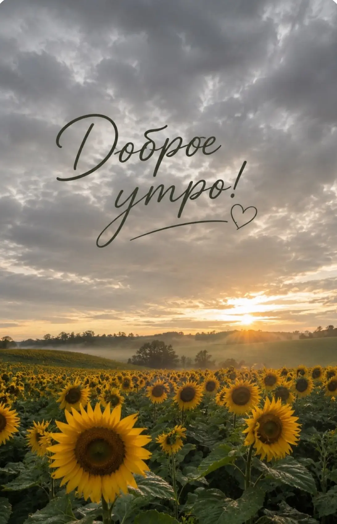 📍Рубрика: День с НГПУ