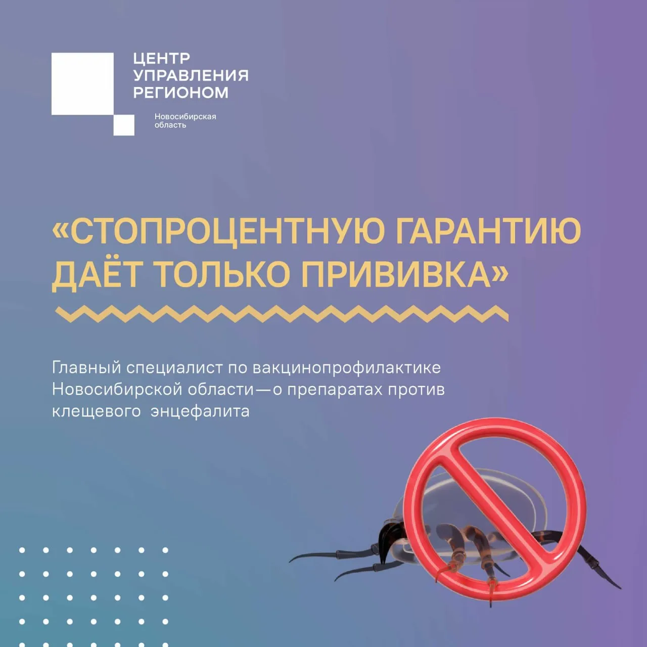 Дачный сезон открыли, а привиться забыли🕷💉