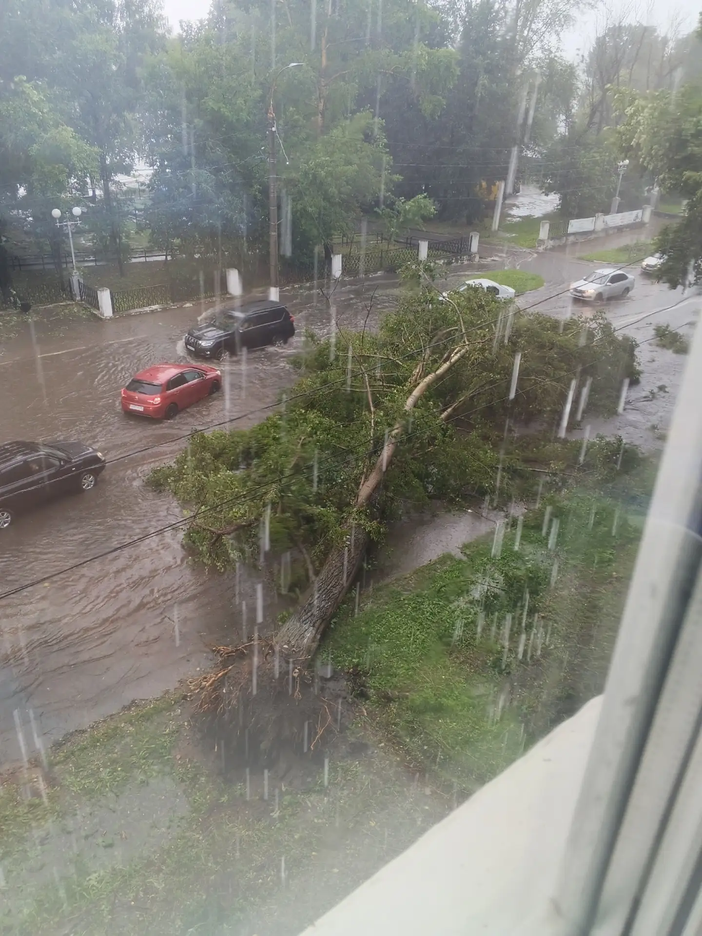 ⚡В Тверь пришел циклон «Бернадетт» и принес апокалипсис