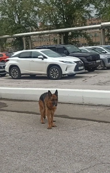 Прошу, пожалуйста, разошлите во все группы и каналы!
