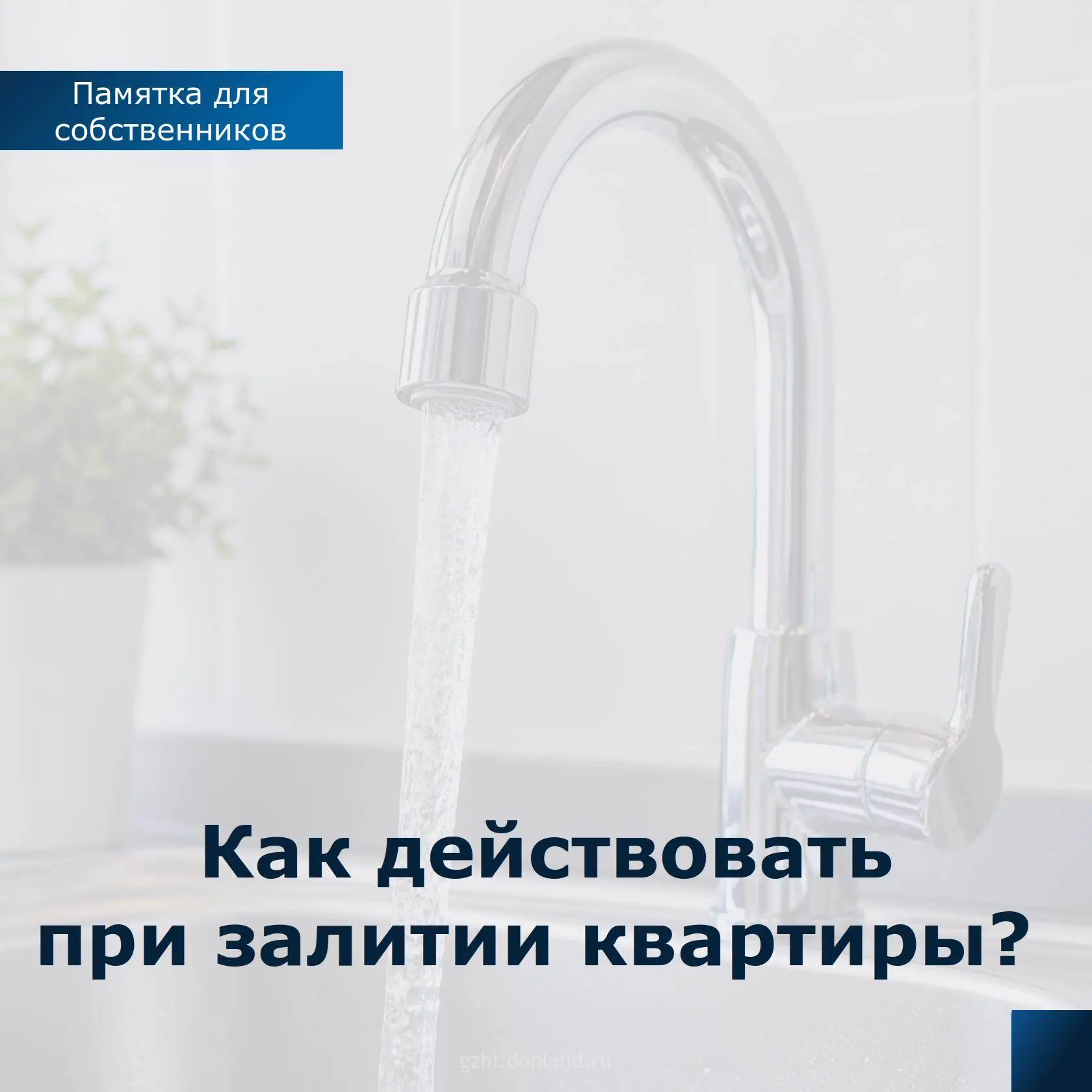 🏠 Вашу квартиру затопили соседи?