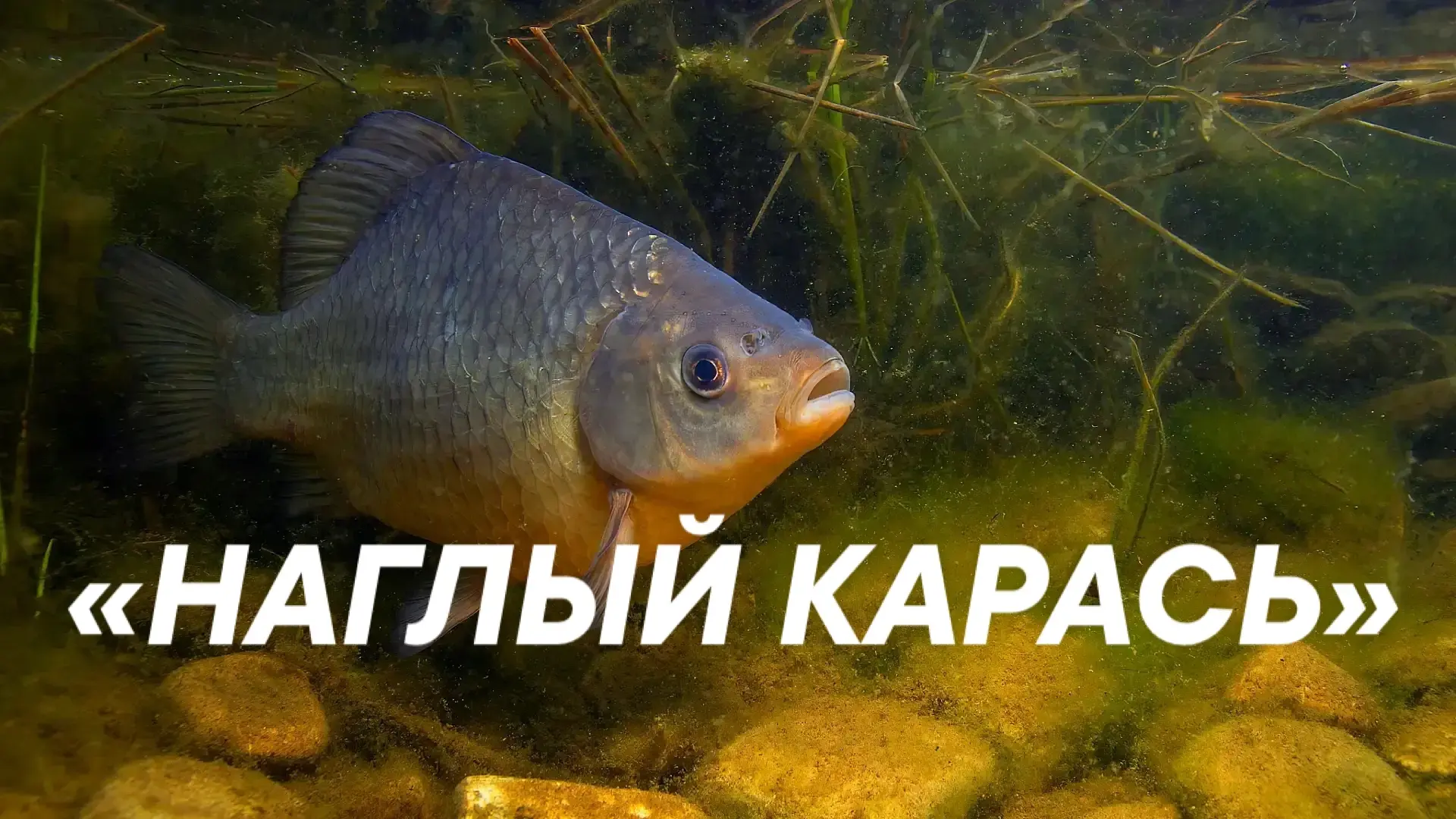 Осторожнее с выражениями в чатах👇
