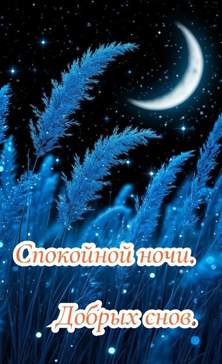💙🩵💙🩵💙🩵💙🩵💙🩵