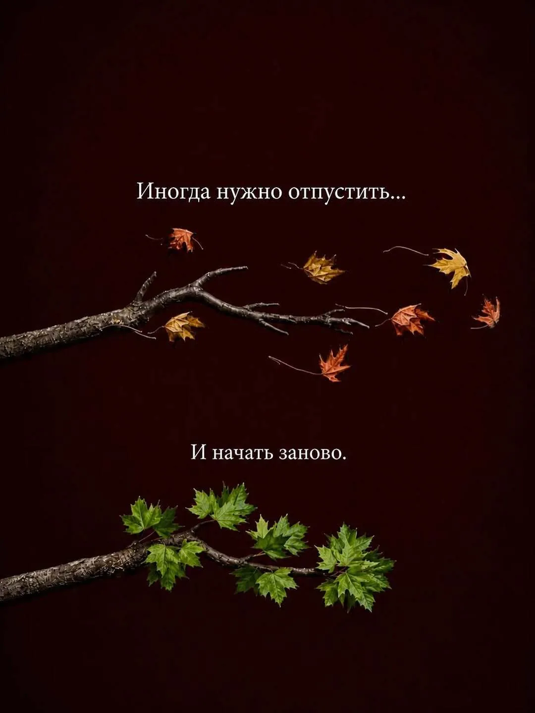 Иногда нужно отпустить и начать заново...

Жмите ❤️ если согласны