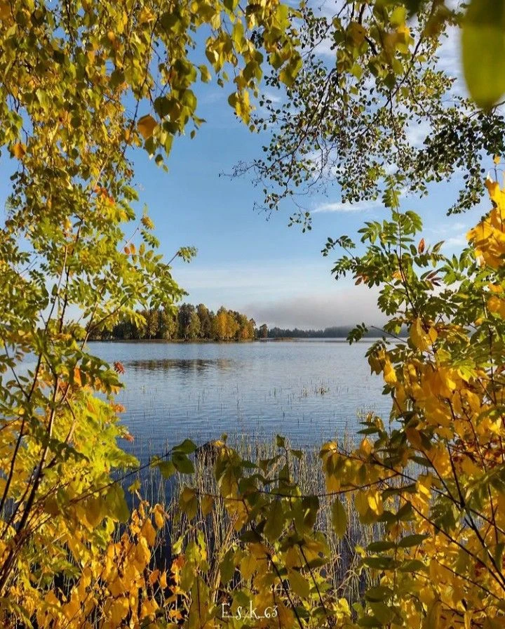 Доброе утро, Саргатский район❤