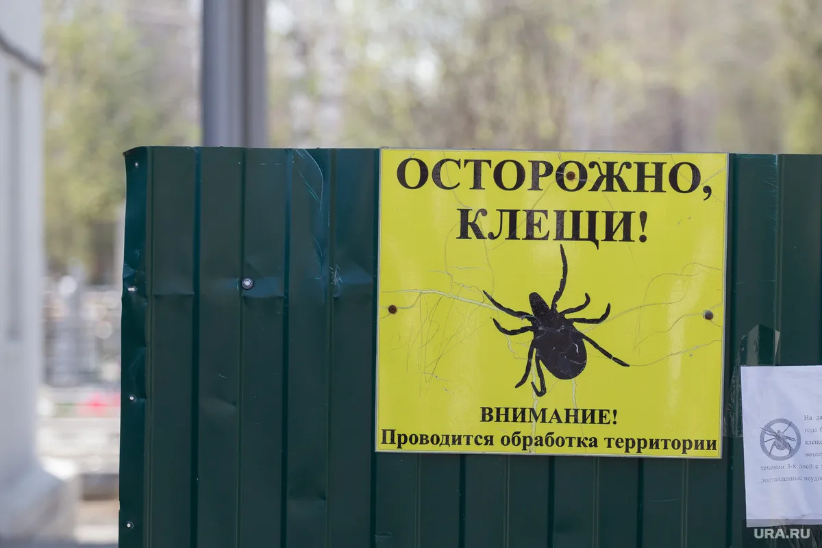 Суды отказывают свердловчанам в компенсации за прививки от клещевого энцефалита.  Наш регион считает