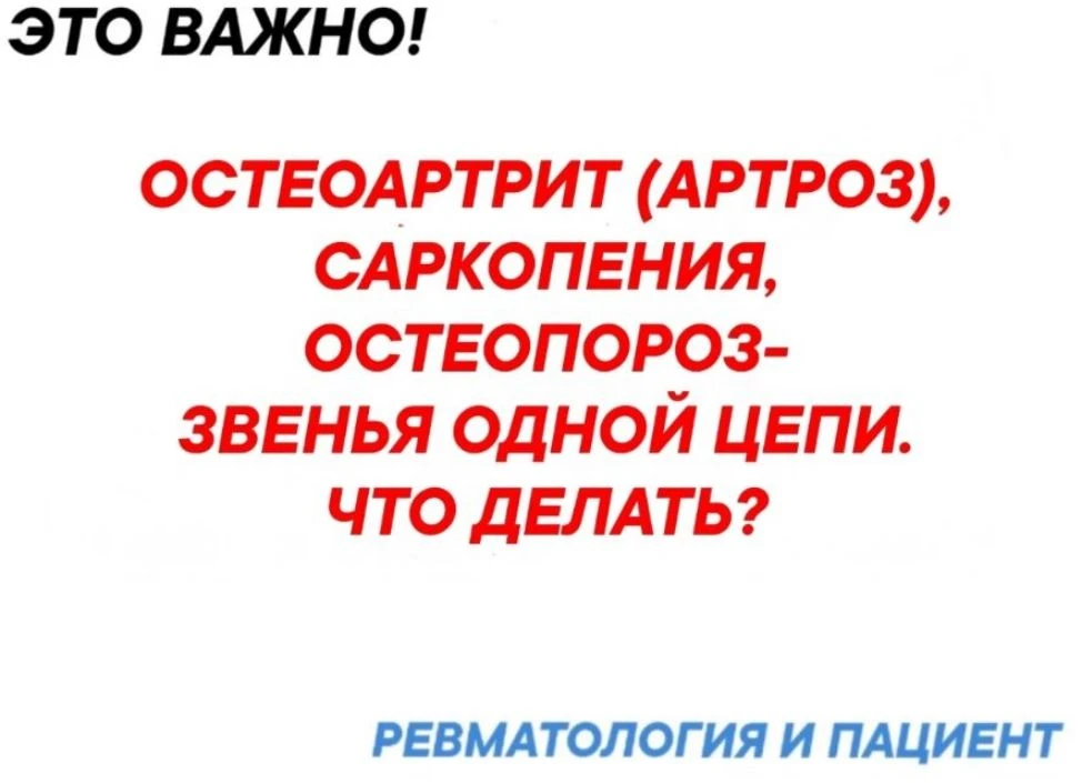 Остеоартрит( артроз), саркопения ( сокращение и слабость мышц) остеопороз ( хрупкость костей) — звен