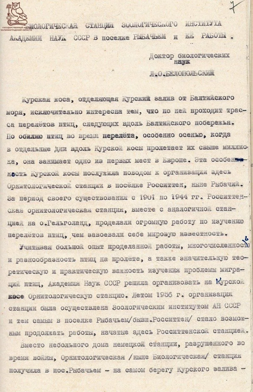 Изображение 1 к публикации «Эй, Калининград»