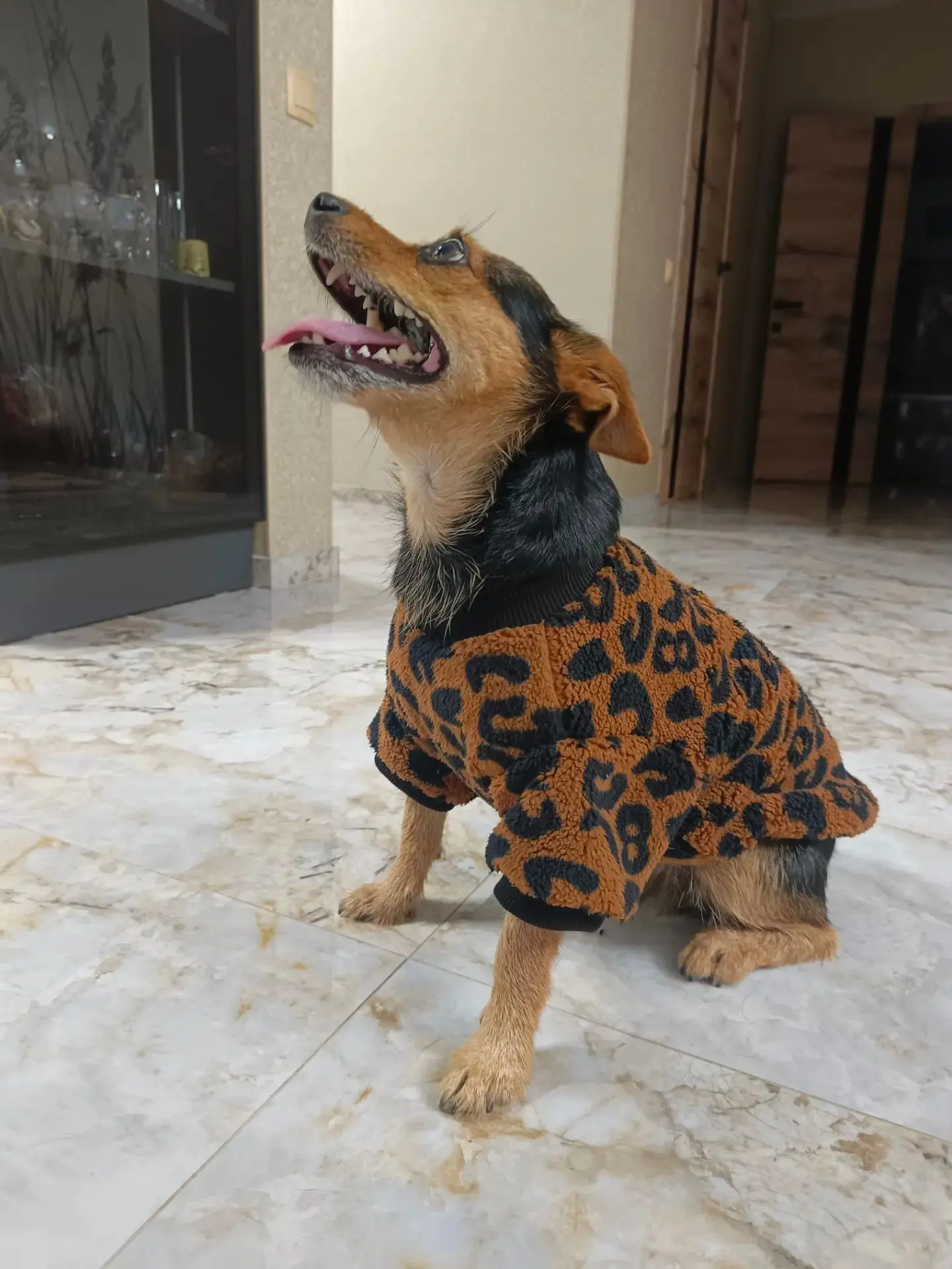 🐶✨ **ВАЖНОЕ ОБЪЯВЛЕНИЕ** ✨🐶  


У нашего производства появился официальный амбассадор — и это не к