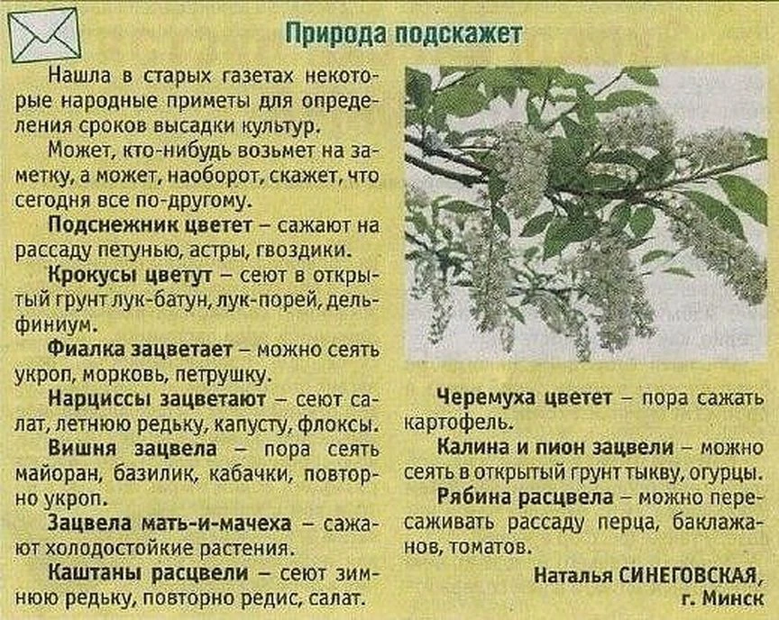 Природа в помощь садоводу.