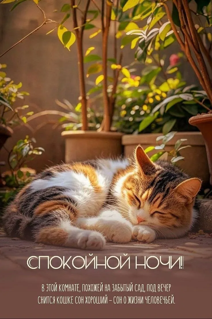 🥱Православные тоже шутят - Позитивный канал, с доброй и душевной атмосферой.