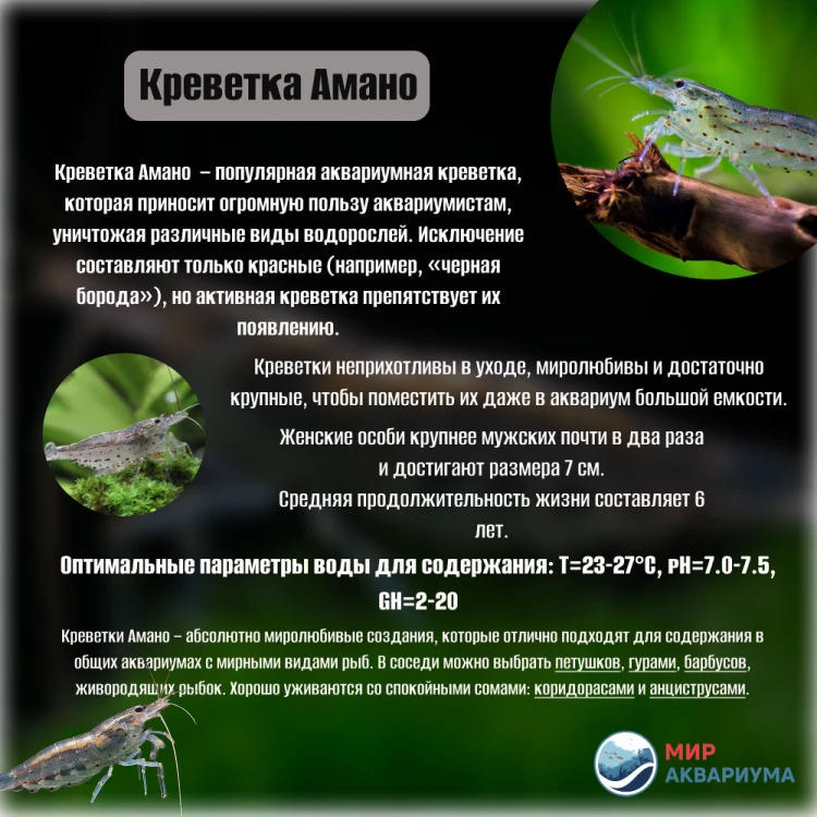Мы ждём вас в гости каждый день:
Пн-Вс: с 10.00 до 20.00
г. Тюмень, ул. А. Логунова 4
г. Тюмень, пр.