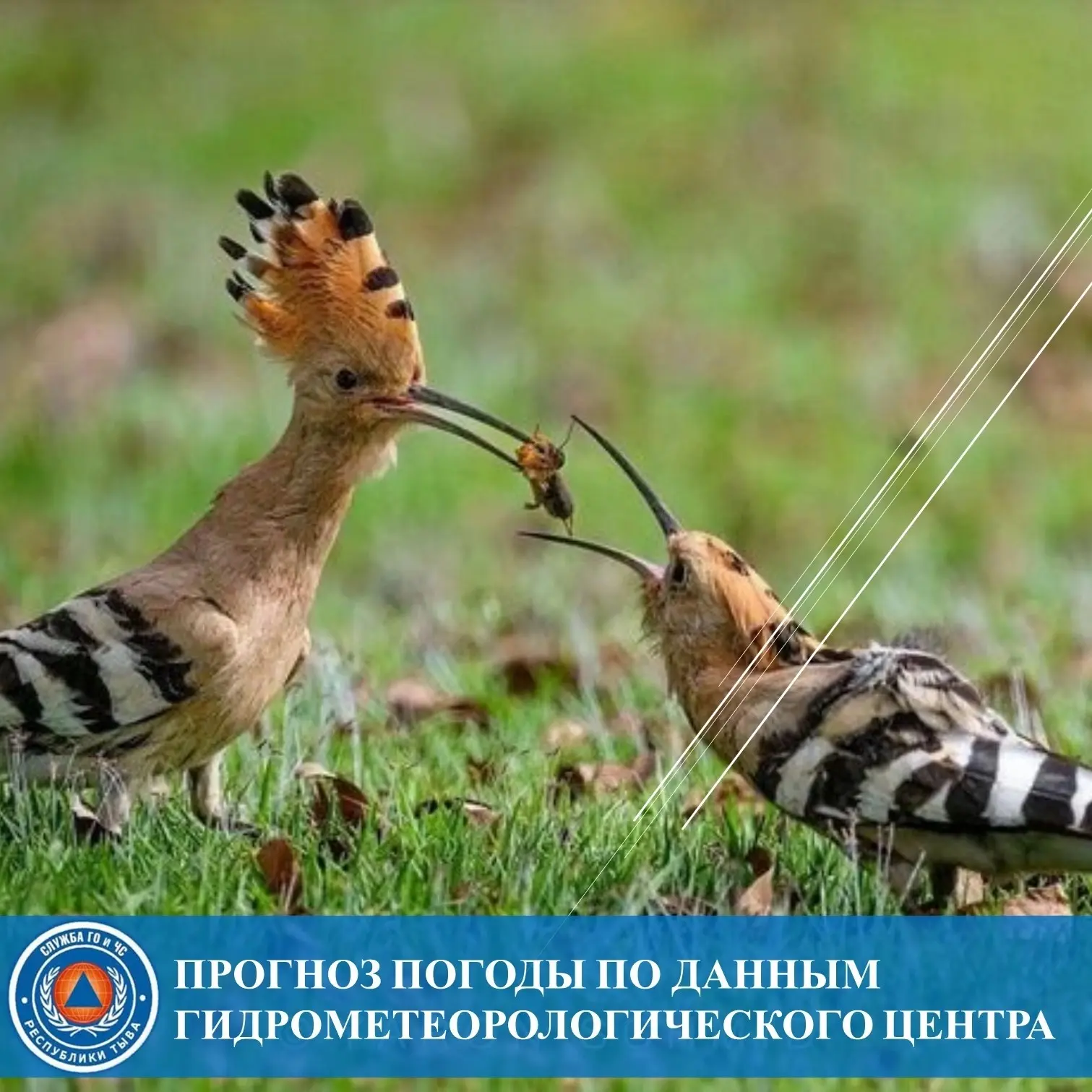 Прогноз погоды на 1 октября 🌧️