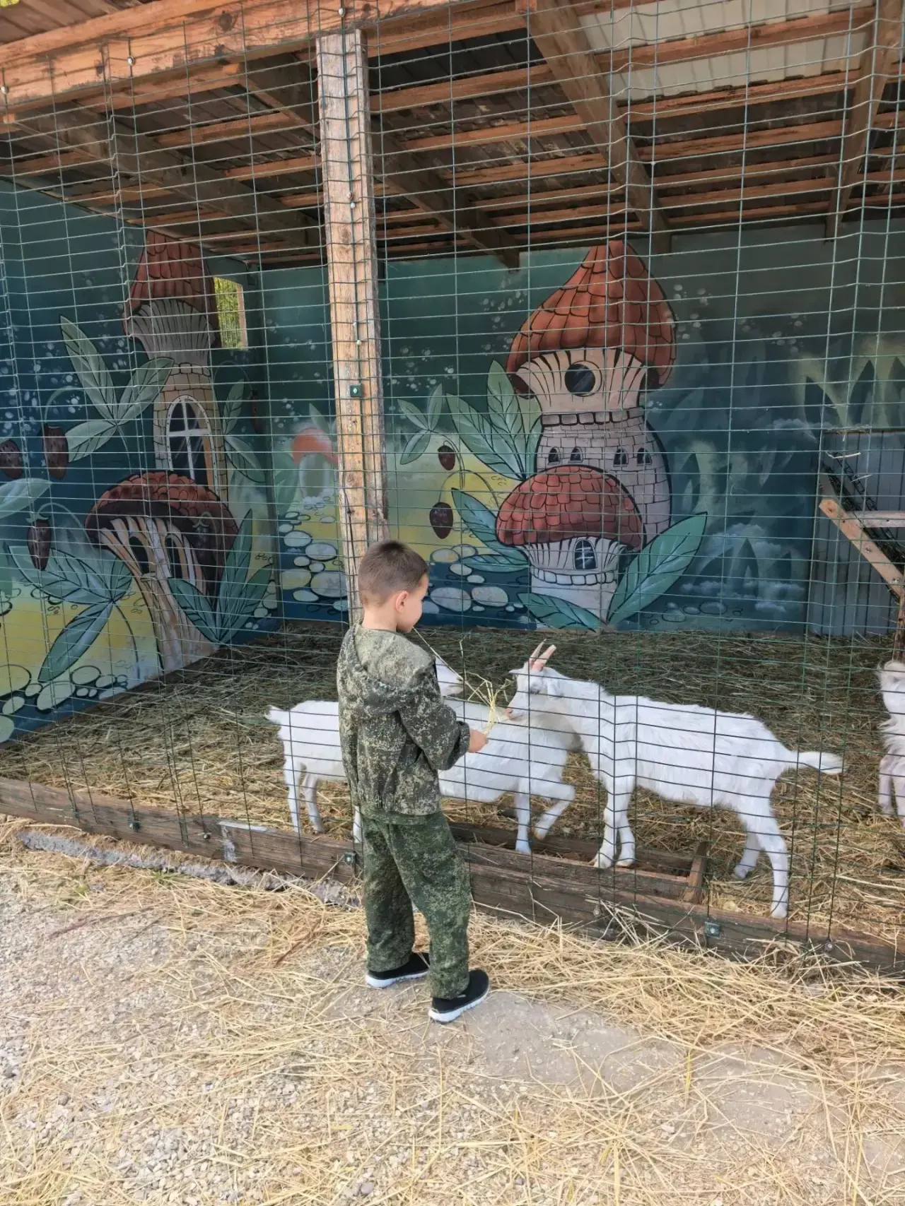 17.09.2026
