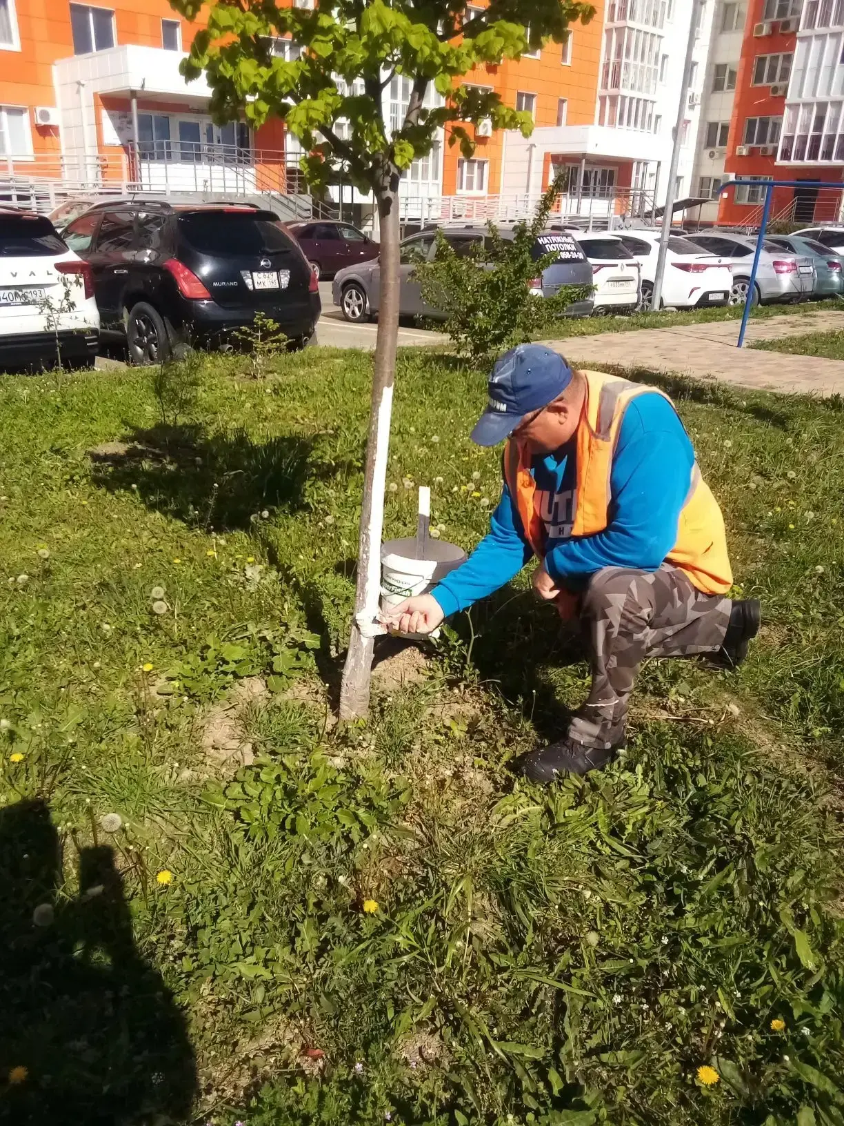 # 🌳🏡 Отчет о проведенных работах по благоустройству наших дворов!  Дорогие собственники многоквартир