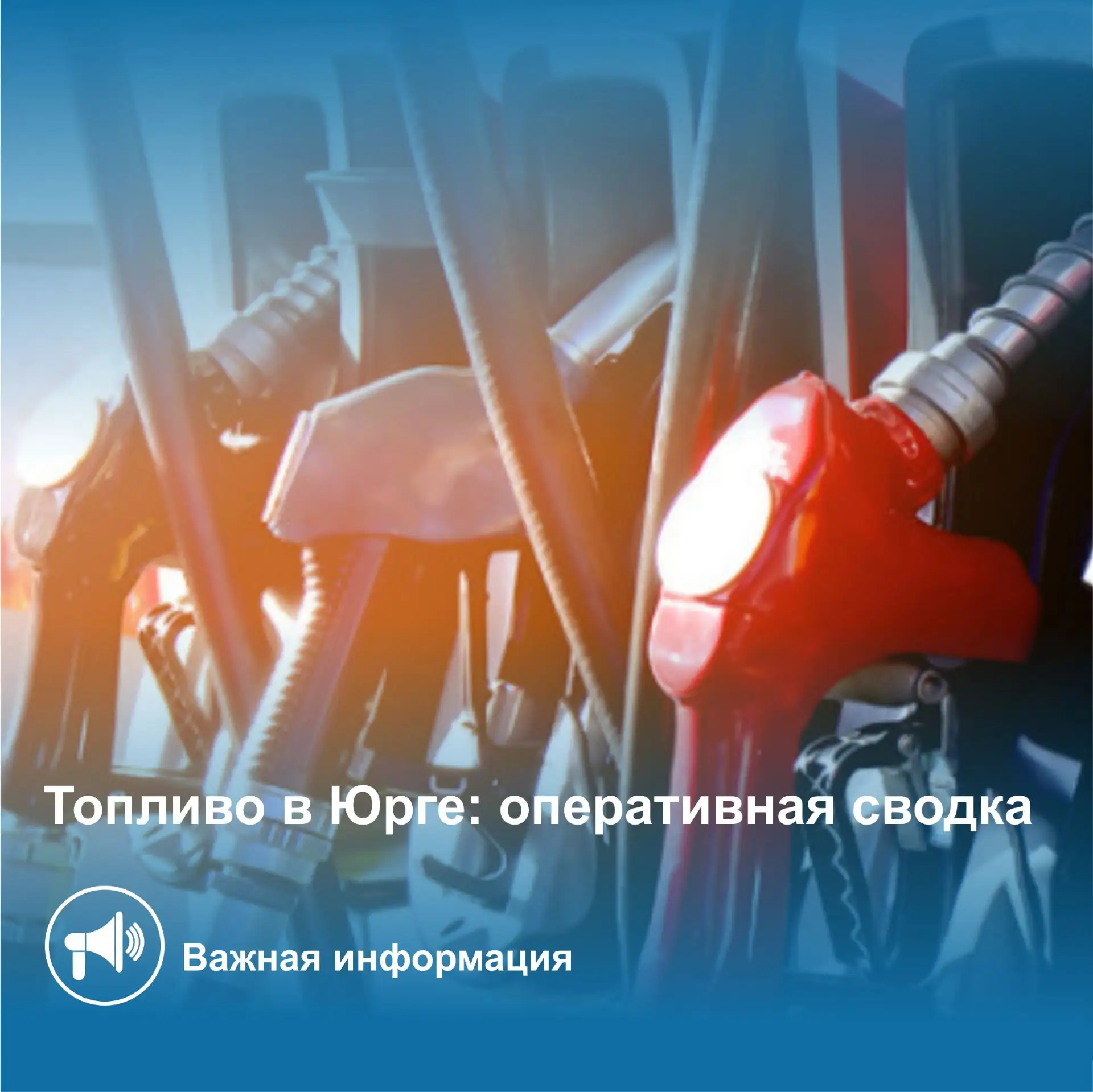 Топливо в Юрге: оперативная сводка
 
На четырех из пяти АЗС (ул. Интернациональная, 73, ул. Тальская