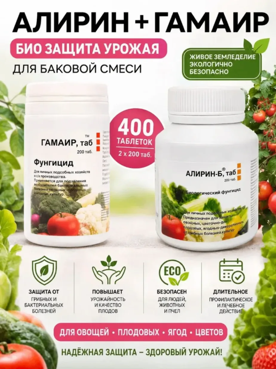 В этом году фитофтора будто решила устроить тур по всей России — новости одна тревожнее...