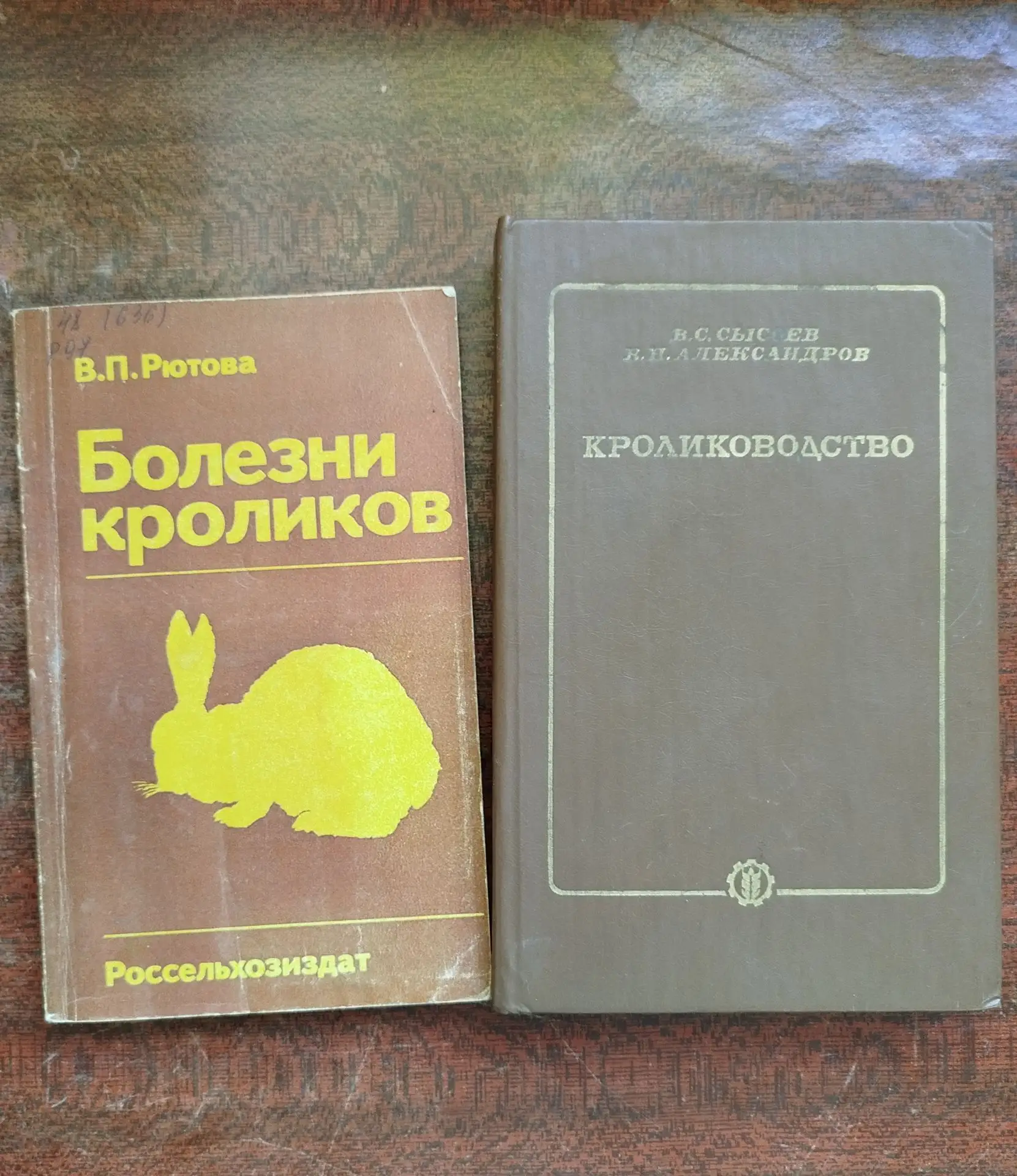 В нашей библиотеке можно ознакомиться с такими книгами: