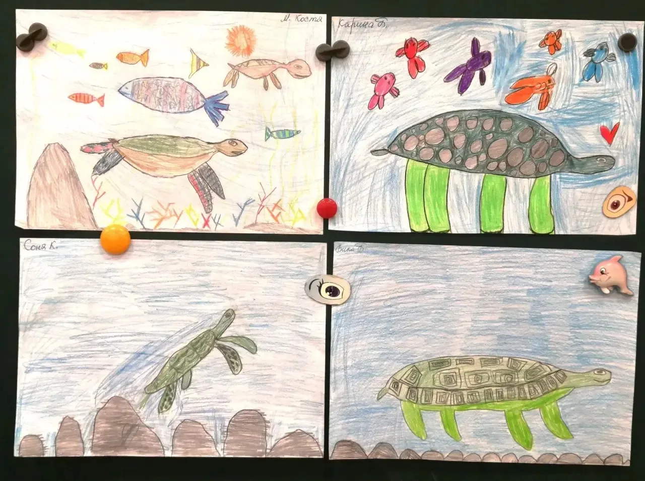 🐢 А что вы знаете про черепах? 🐢

Наши ребята теперь знают всё — и с радостью поделятся интересным