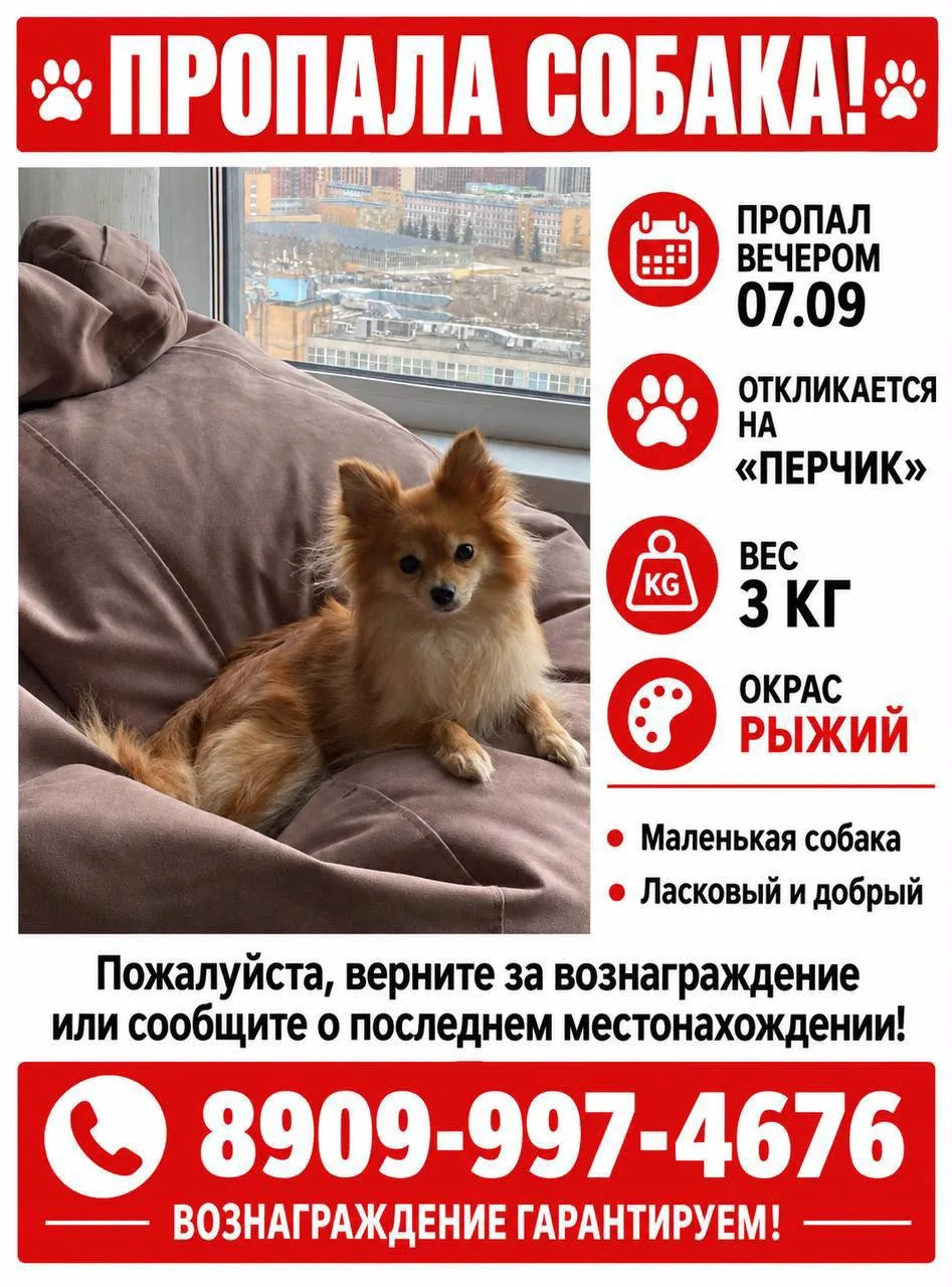#нампишут #сп #потеряшка