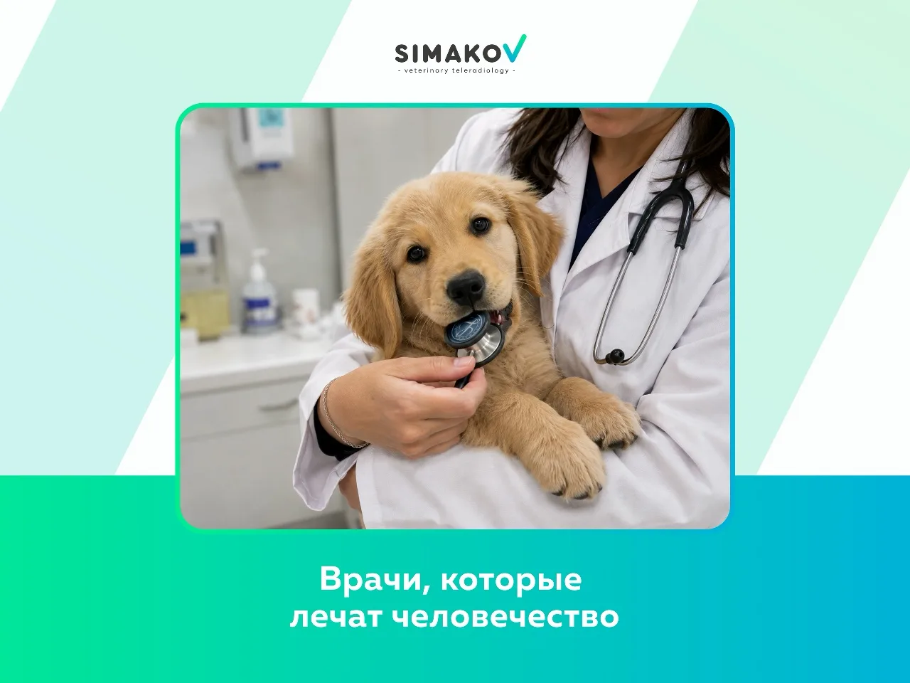 🩺 О профессии, которая делает мир лучше