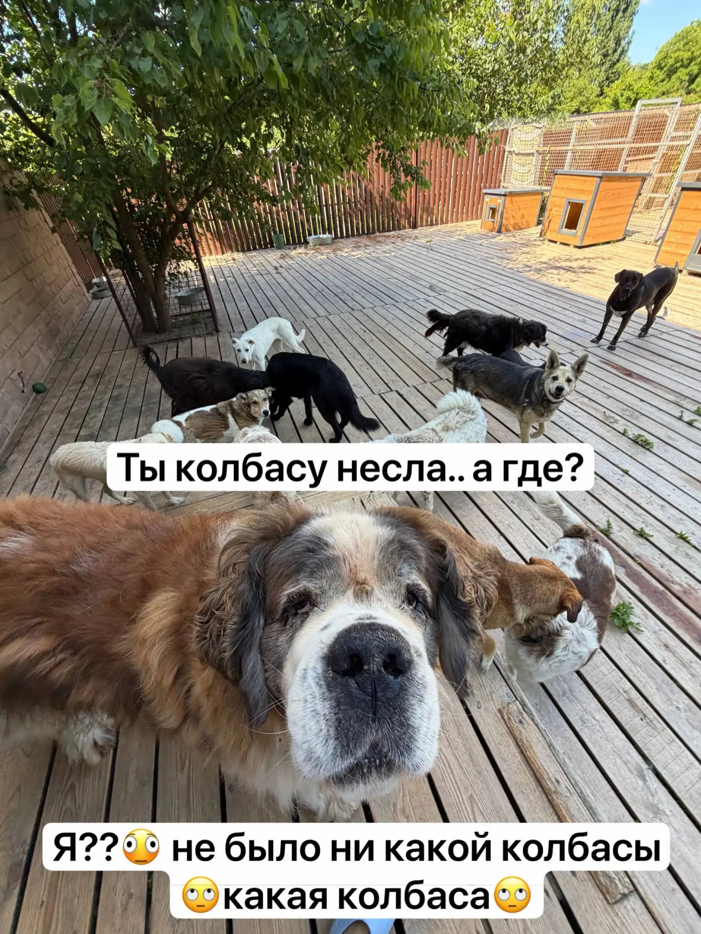 Зарисовочка )