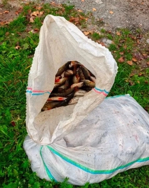 🎣 В Миассе задержали браконьеров с уловом на 286 тысяч рублей