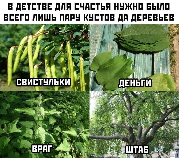 Ничего не забыли?)))