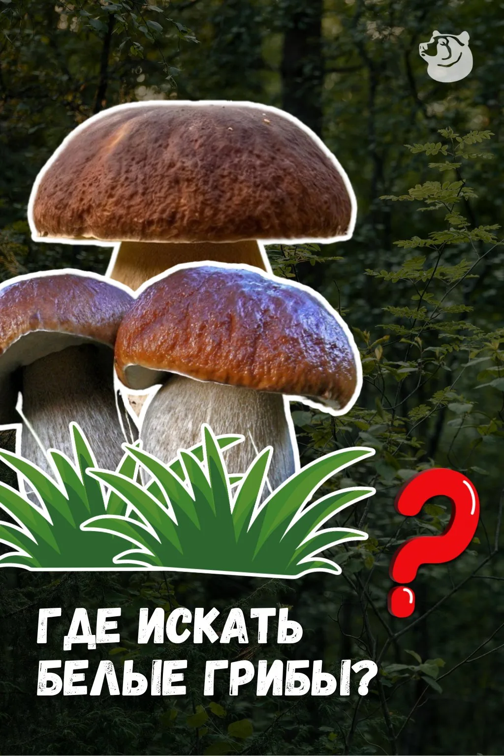 🍂🍁 7 сентября в народном календаре отмечается Тит Листопадник. Другое же название - «...
