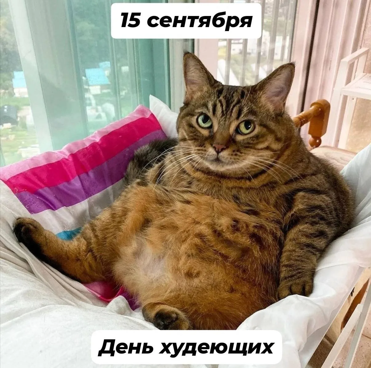🥰Доброе утро