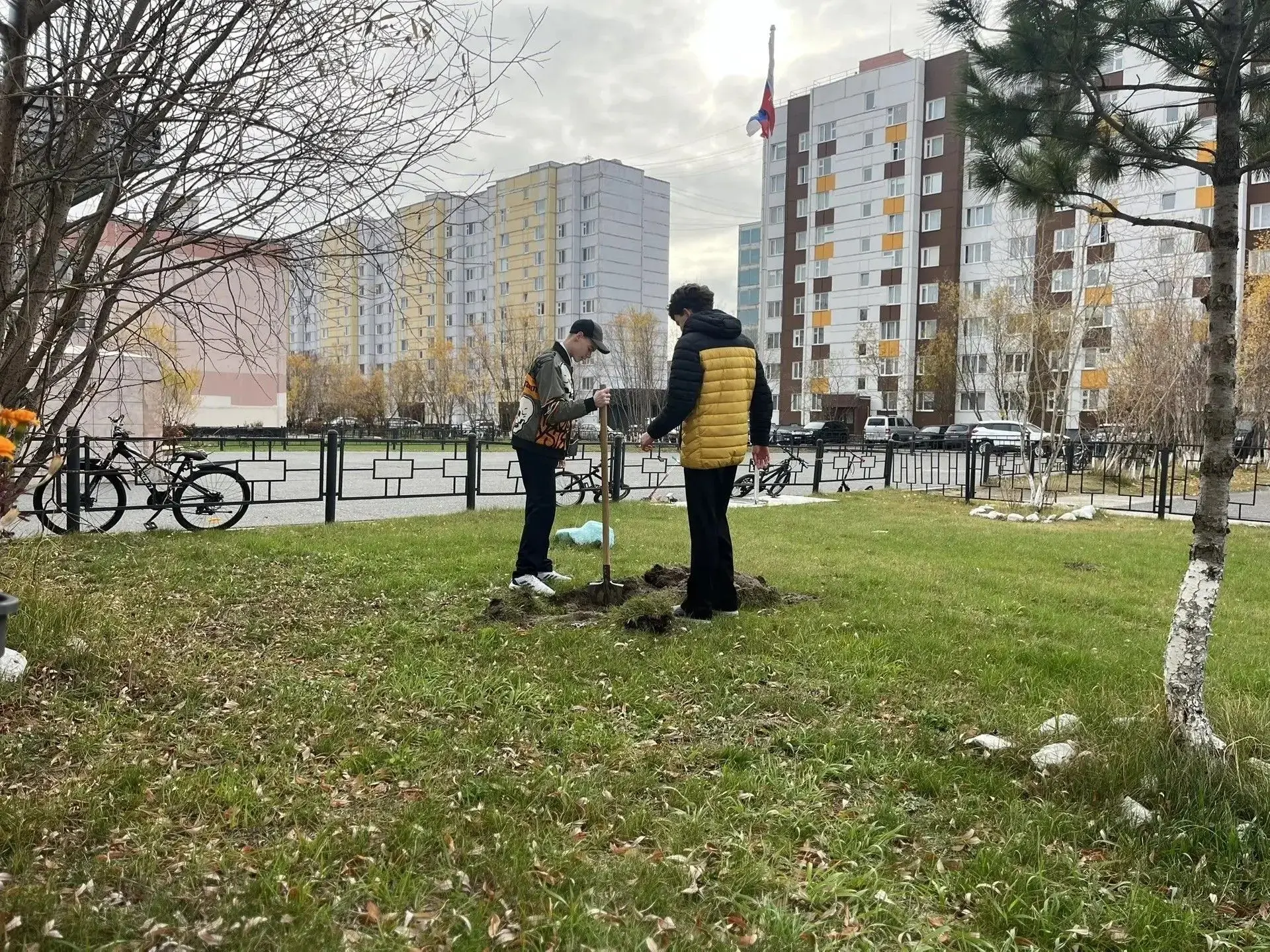 🌿Сажаем будущее вместе🌿