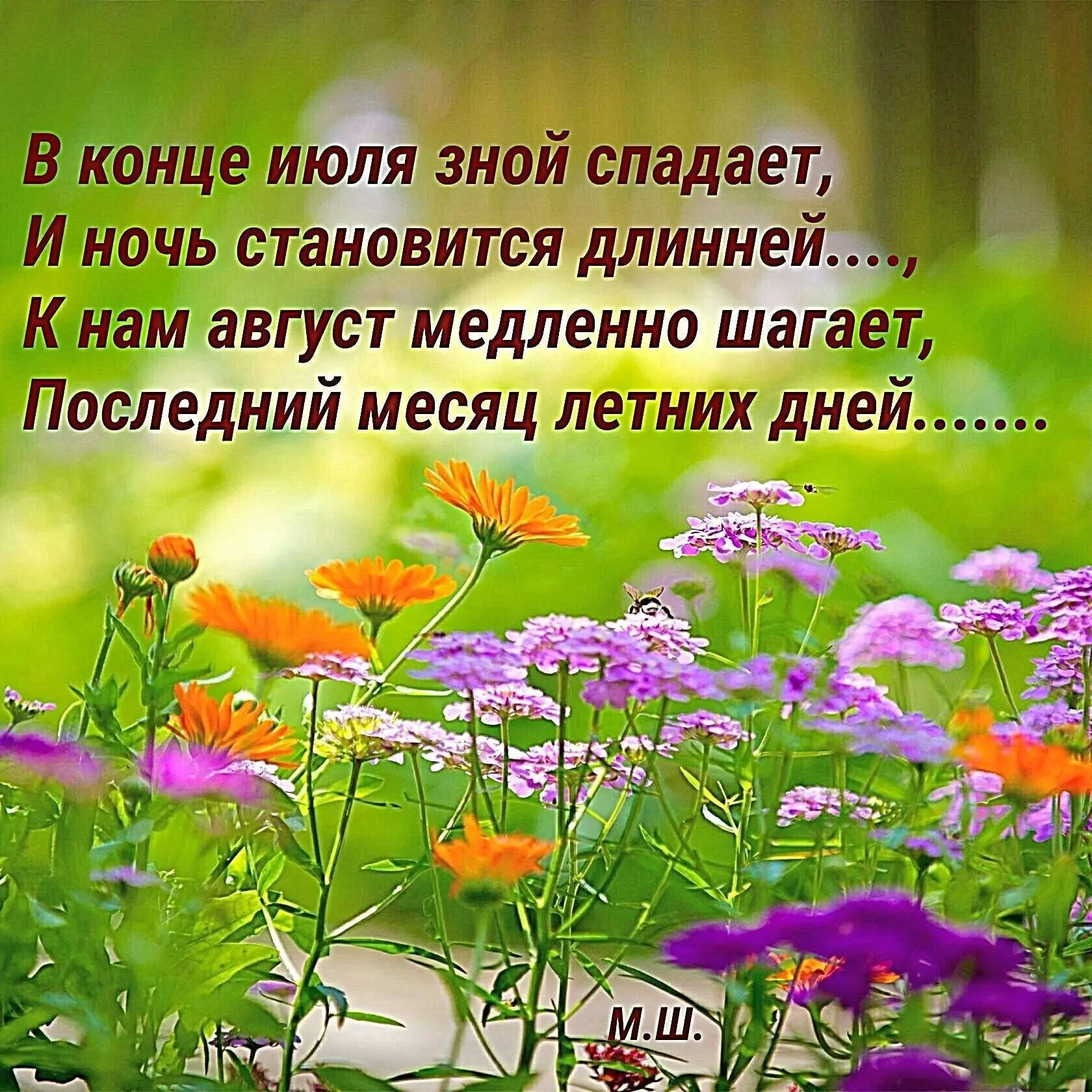 Последний день июля ☀️

Открытки в MAX ️💌Подписаться