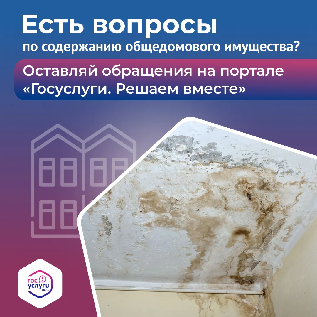 Протекает крыша в многоквартирном доме? Сообщить о проблеме очень просто.