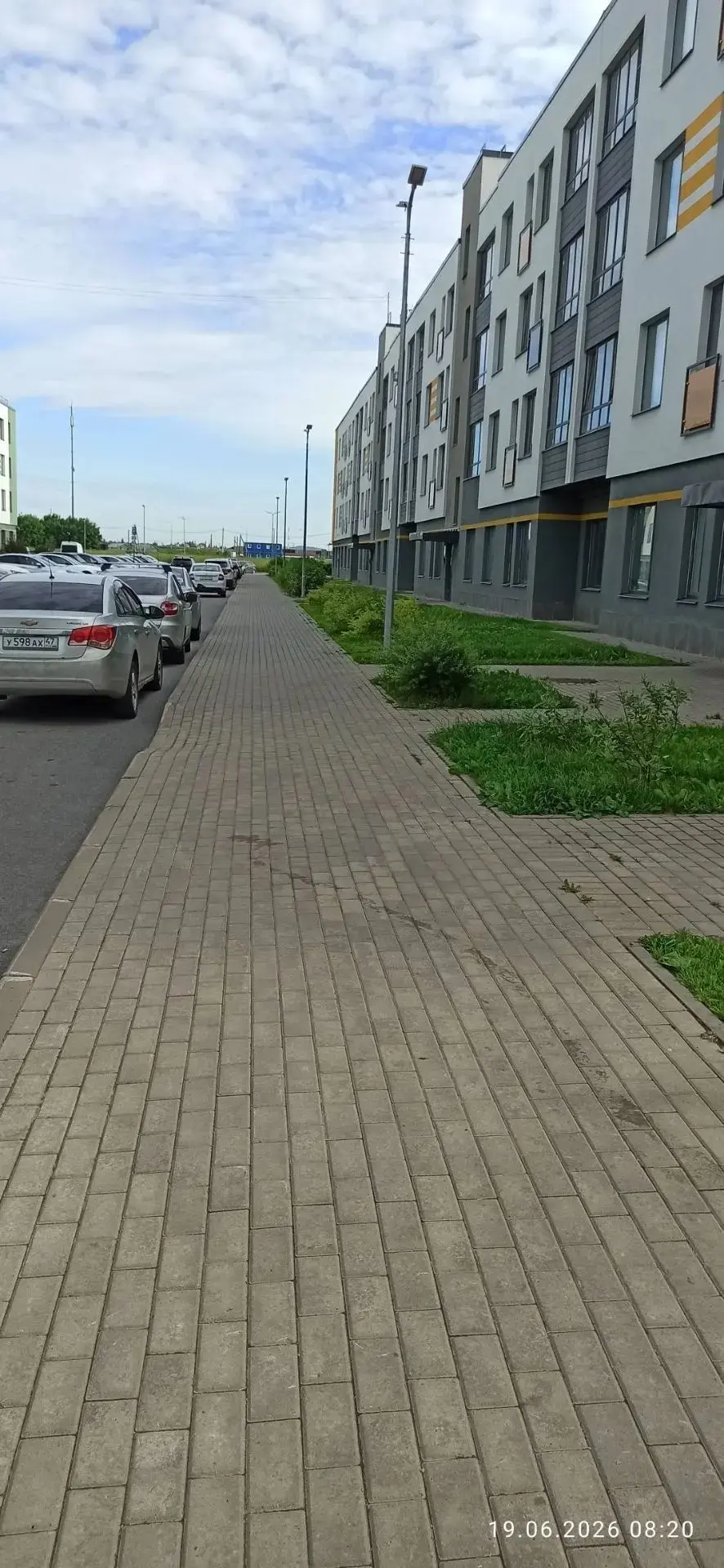 Уборка территории по графику