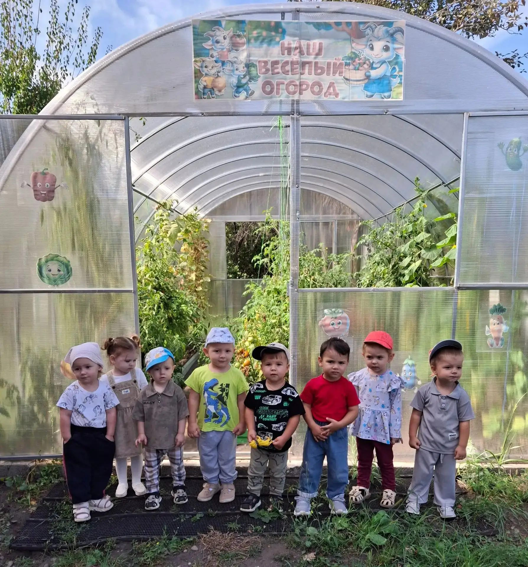 🍅🍃 СБОР УРОЖАЯ В ТЕПЛИЦЕ ОСЕНЬЮ 🍃🍅