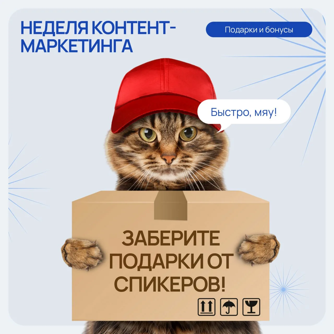 🎁 Собрали для вас все полезные материалы и подарки от спикеров конференции «Неделя кон...