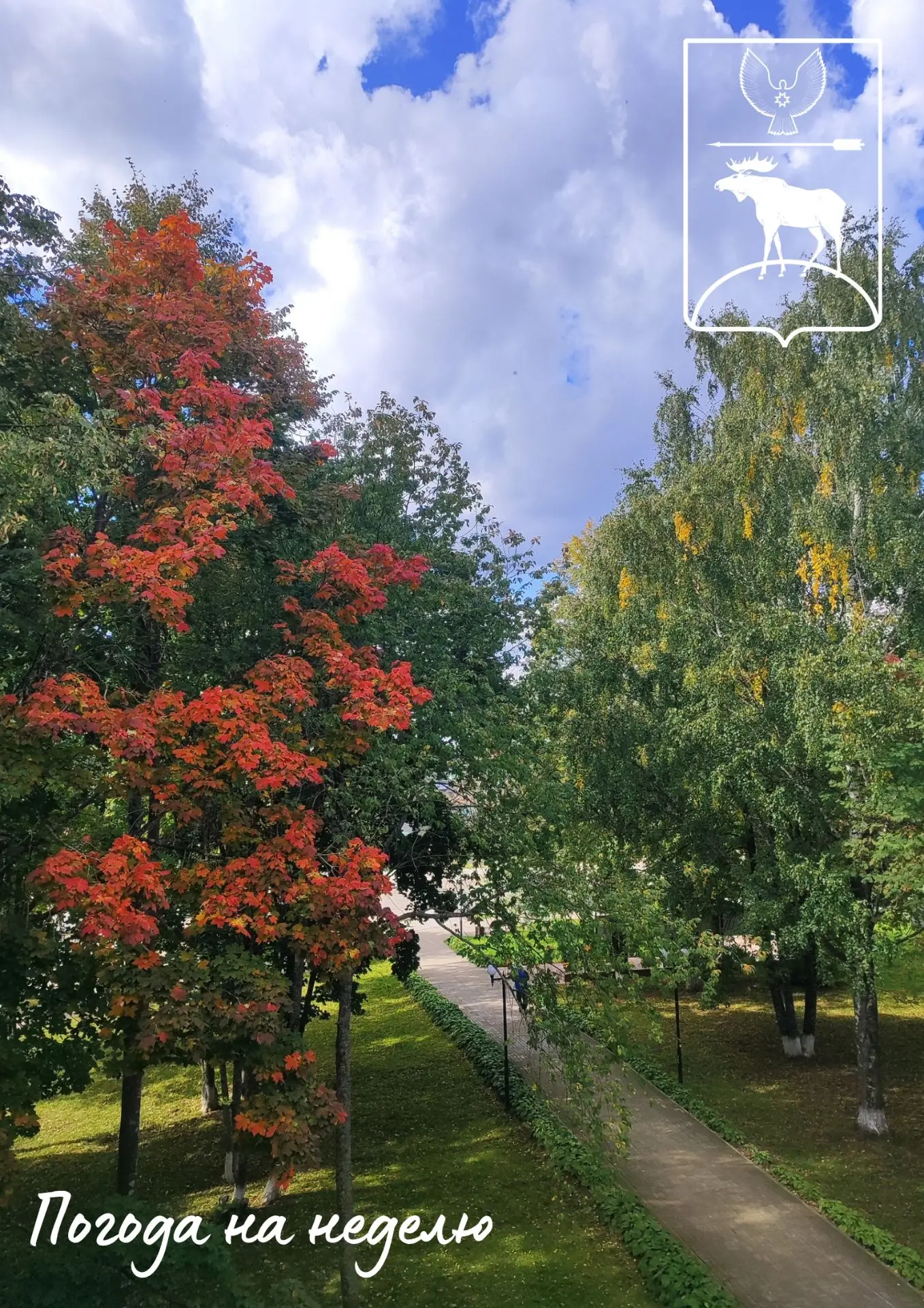 С добрым утром, Красногорский район!🍂 Что нам готовит новая неделя? Слабые осенние дож...