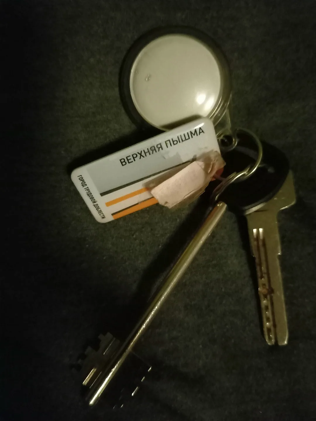Чья потеряшка? Пишите мне в лс. https://vk.ru/id529462378