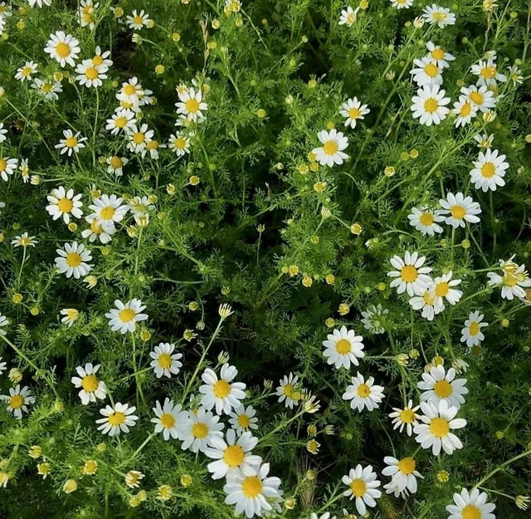 🌼Доброе утро, Вилючинск!