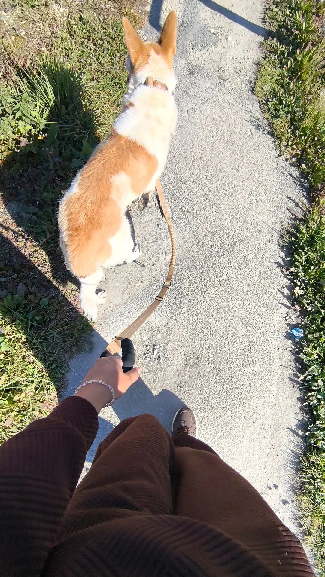 Сегодня  с Булочкой 🐶ходили  к ветеринару на плановую прививку. Пока ждали приёма, бол...