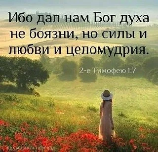 🌷💚🌷💚🌷💚🌷💚🌷💚