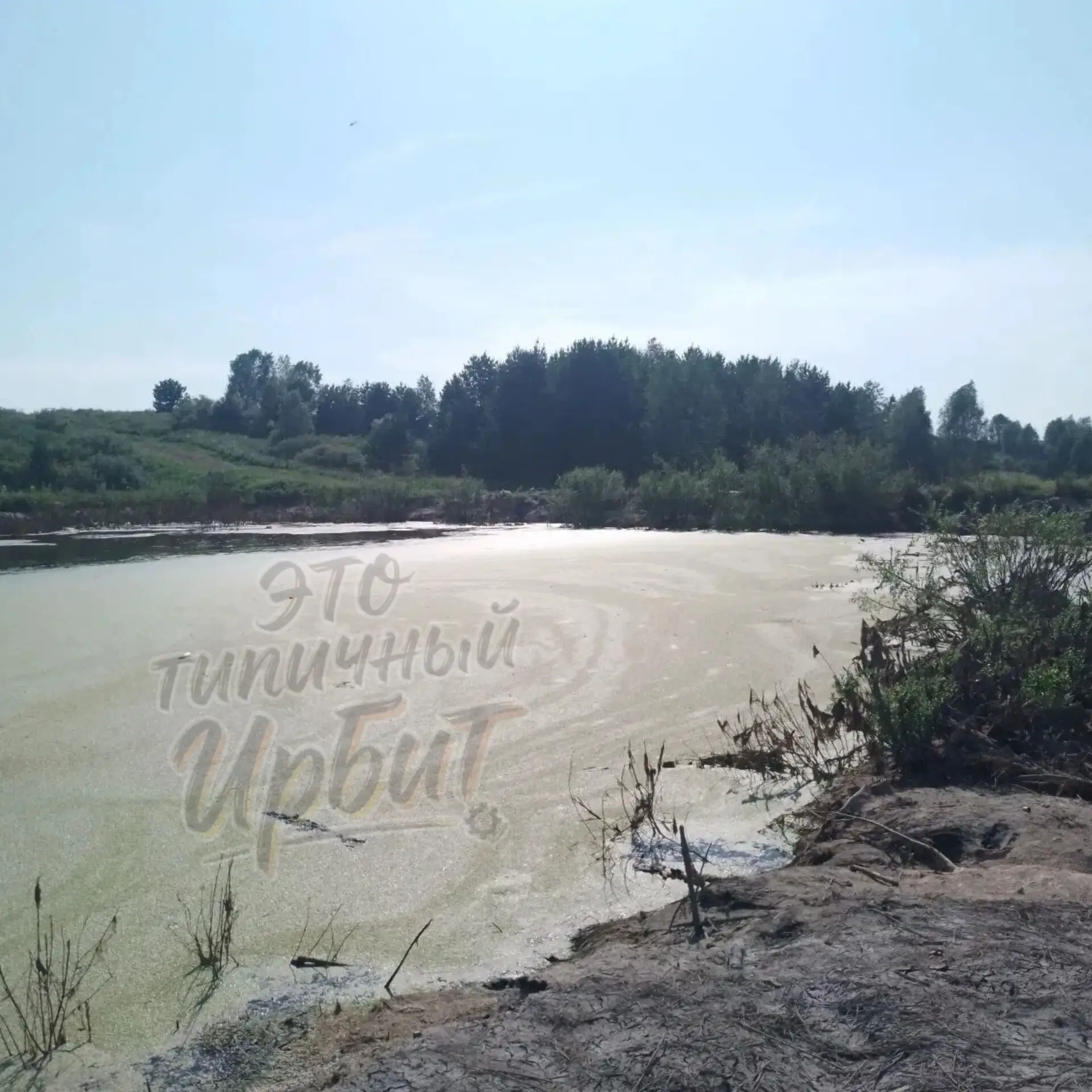 Публикуем фотографии по Анохинской запруде, которые сделаны сегодня. 

Это для тех, кто не смог посм